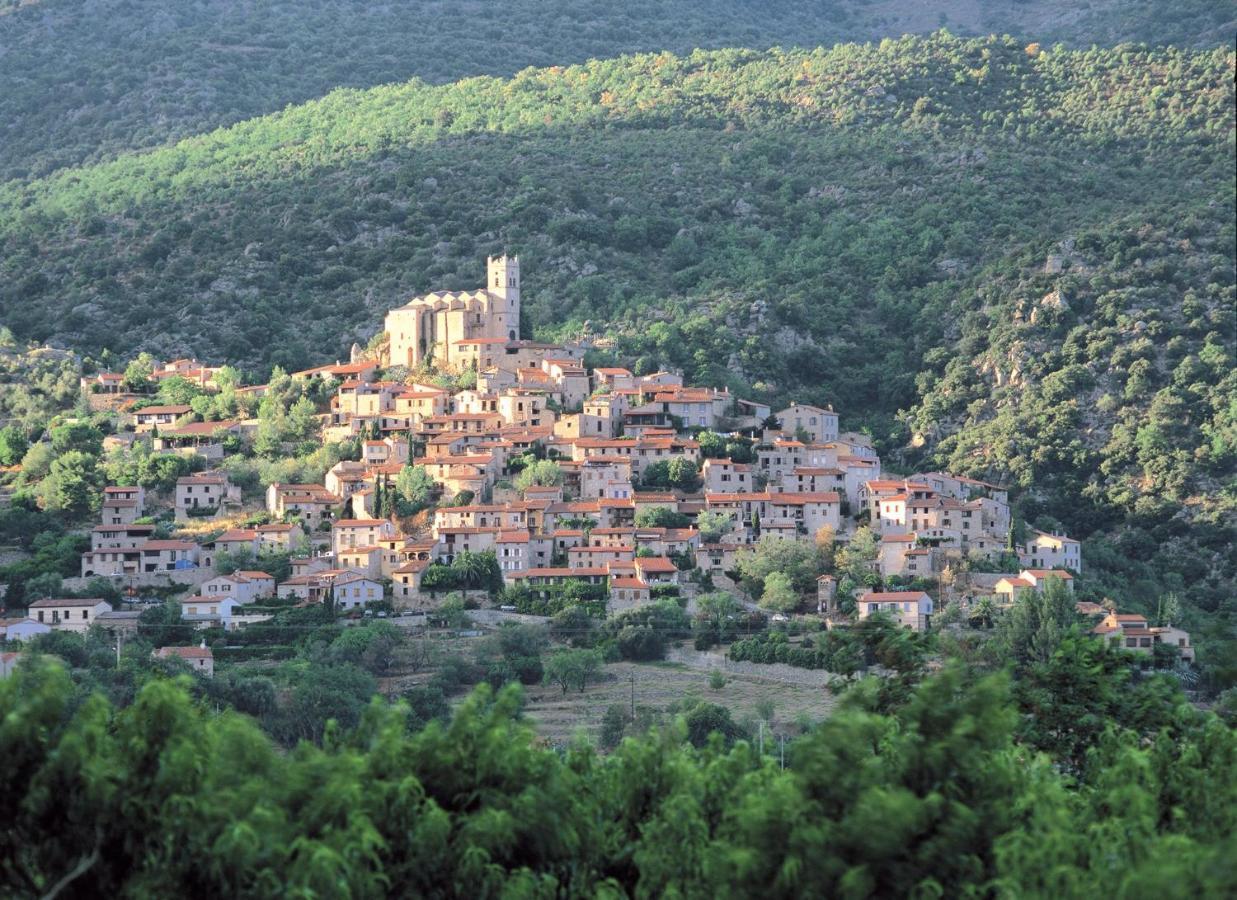 Gite Le Canigou 3* Dans Un Mas Typique Catalan Прад Екстериор снимка